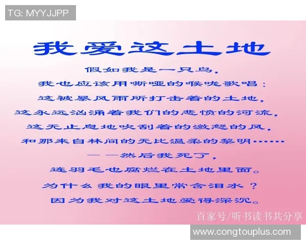 松原姚明张的篮球之路与人生哲学探讨